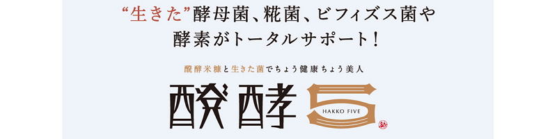 �y���y5�z���T�C�g